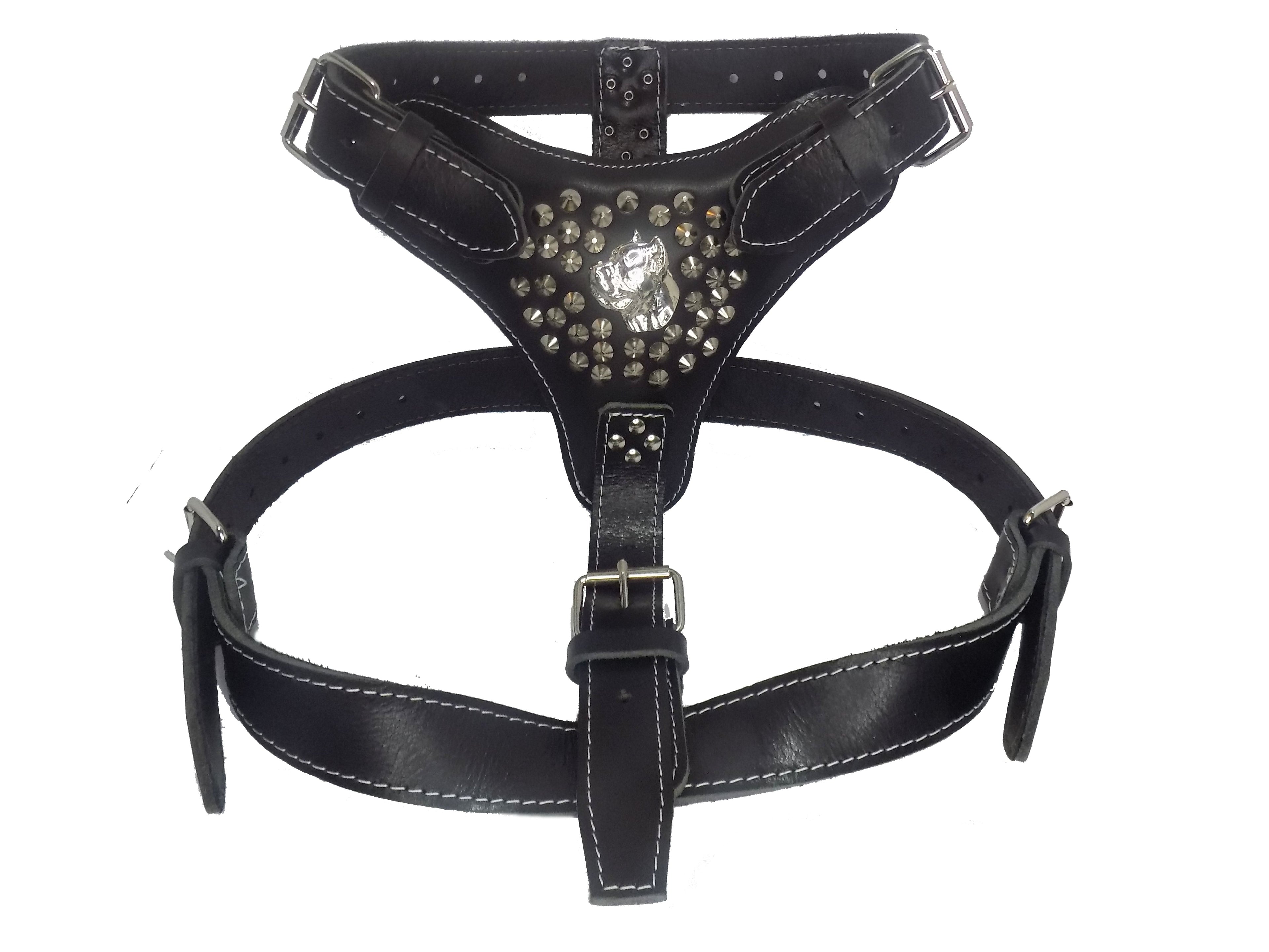 Extra Large Heavy Duty Leather Dog Harness with Cane Corso and Studded Design