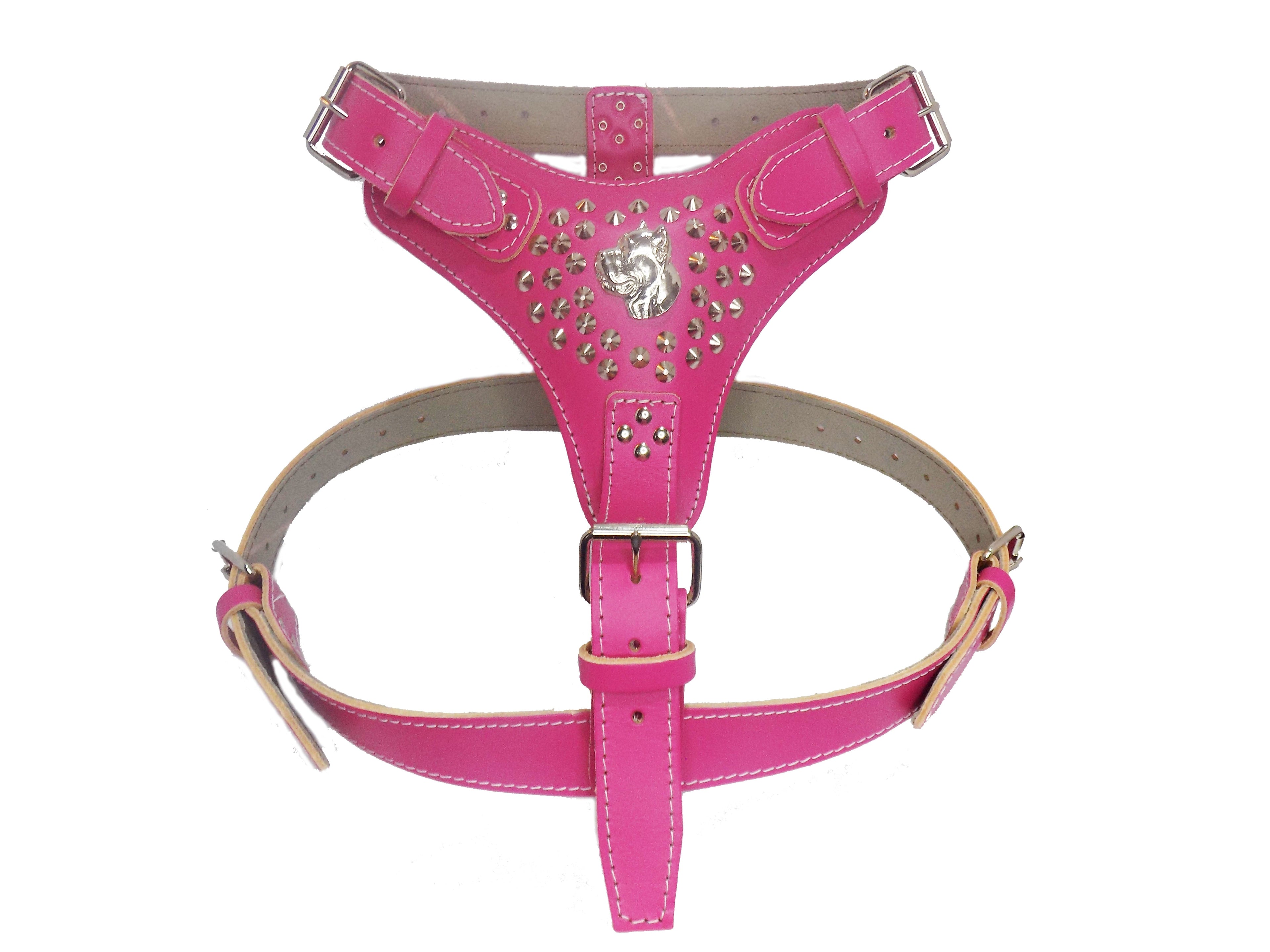 Extra Large Heavy Duty Leather Dog Harness with Cane Corso and Studded Design