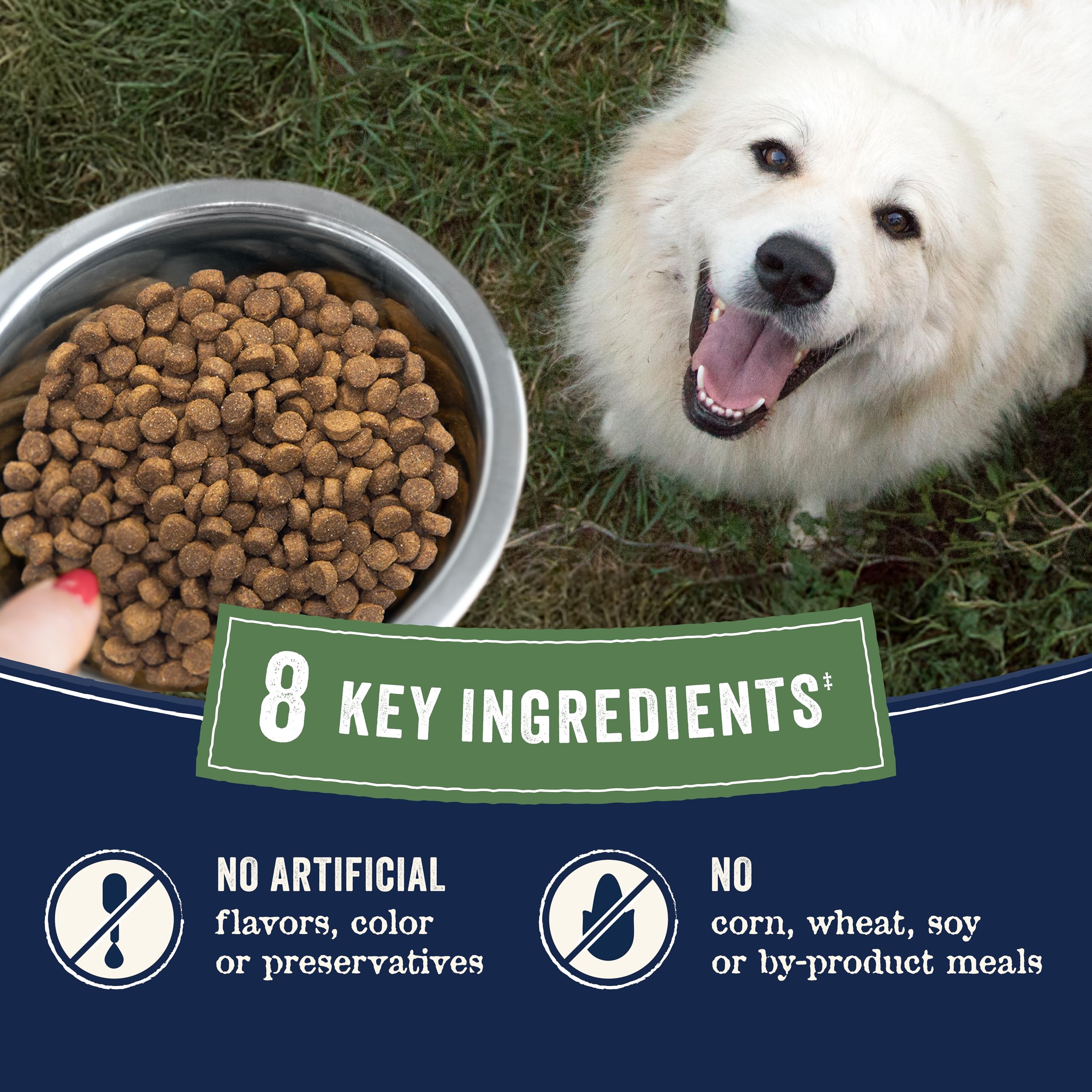 Canidae Pure Farm to Bowl Grass-Fed Beef & Barley Dry Dog Food – Adult 22lb