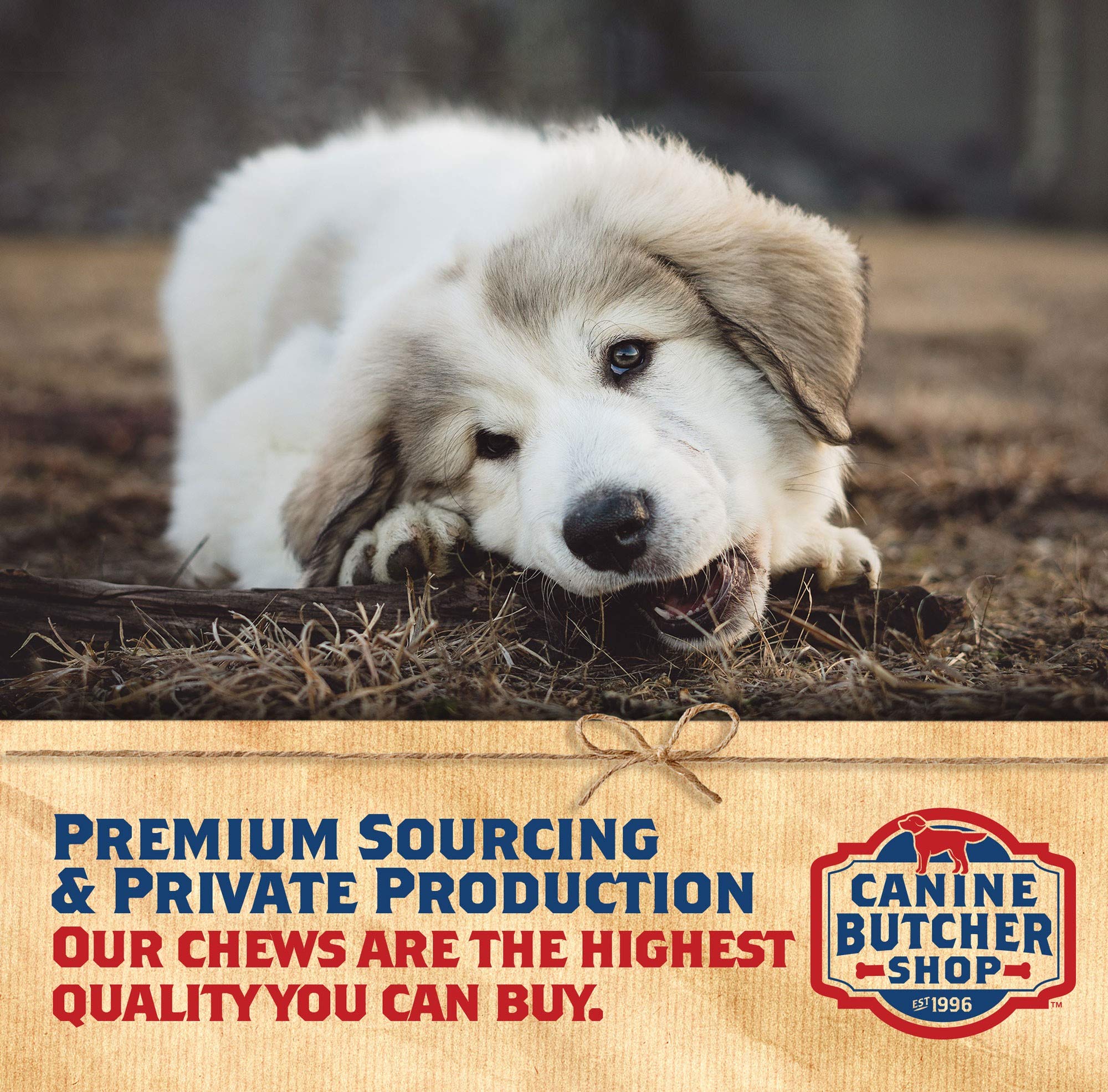 Canine Butcher Shop Pig Ears for Dogs – Large USA Made, 18-Pack
