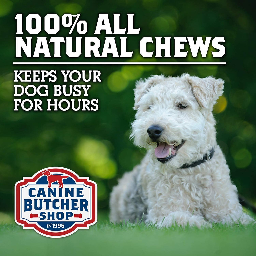 Canine Butcher Shop Pig Ears for Dogs – Large USA Made, 18-Pack