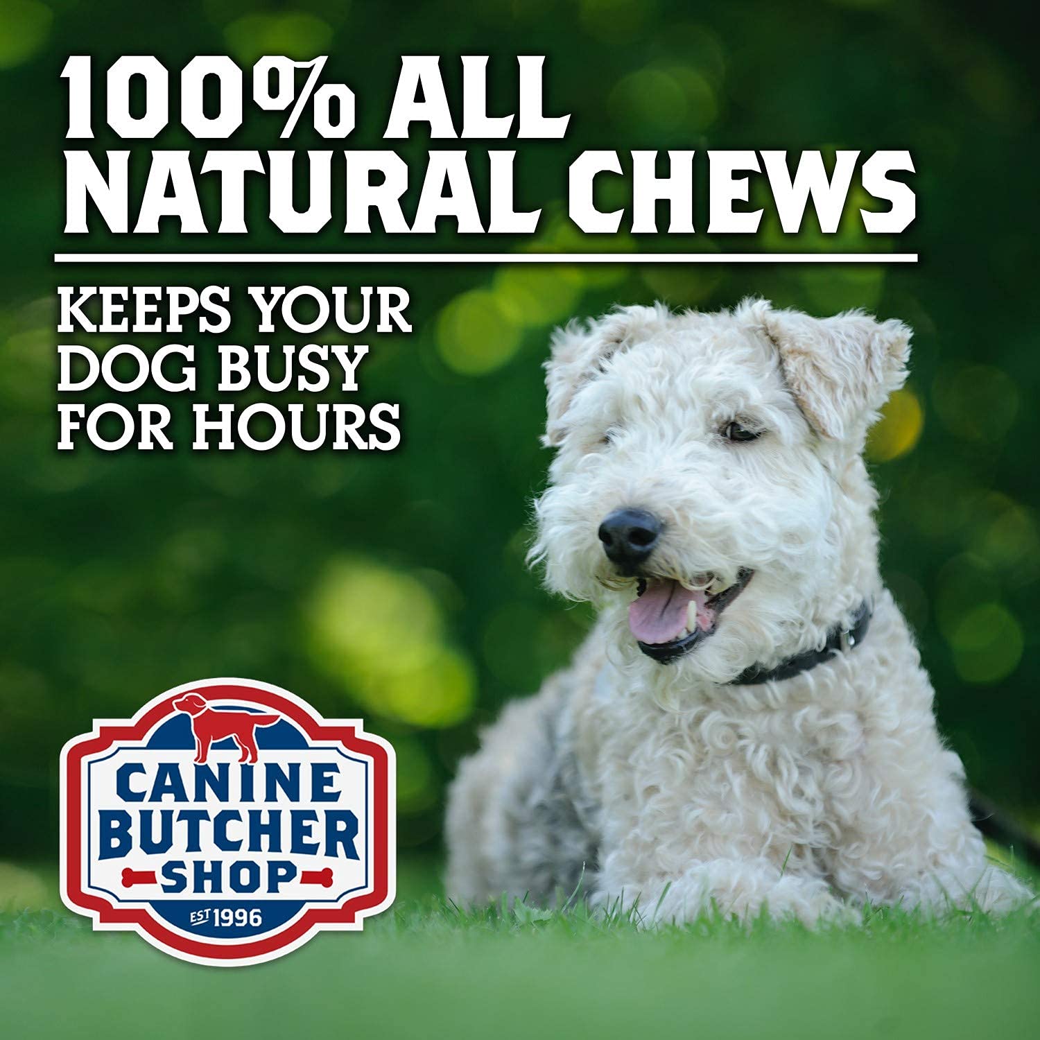 Canine Butcher Shop Pig Ears for Dogs – Large USA Made, 18-Pack