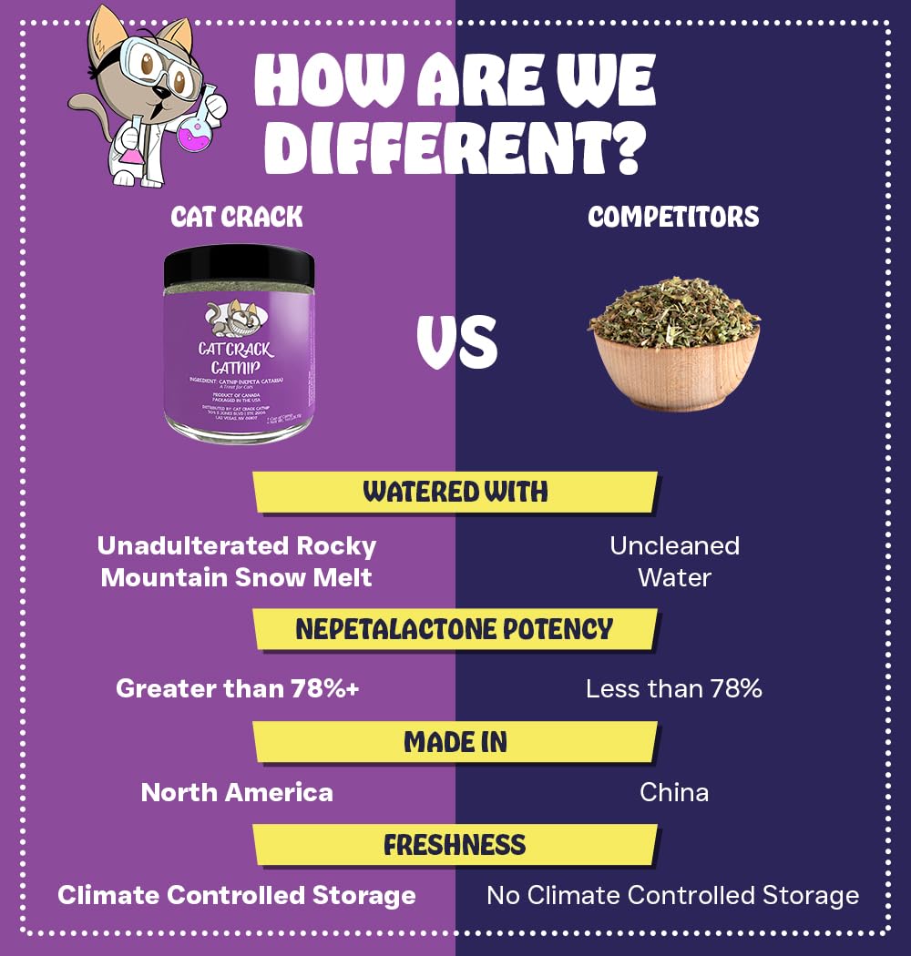 Cat Crack Catnip Blend — North American Made, 100% Natural, Non-GMO Catnip Treats (20 Cups) | 78% Nepetalactone