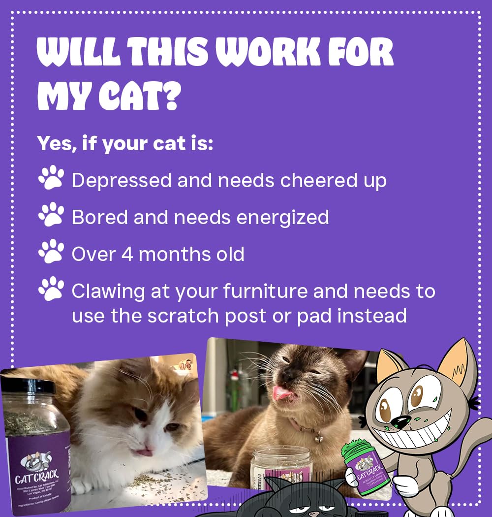 Cat Crack Catnip Blend — North American Made, 100% Natural, Non-GMO Catnip Treats (20 Cups) | 78% Nepetalactone
