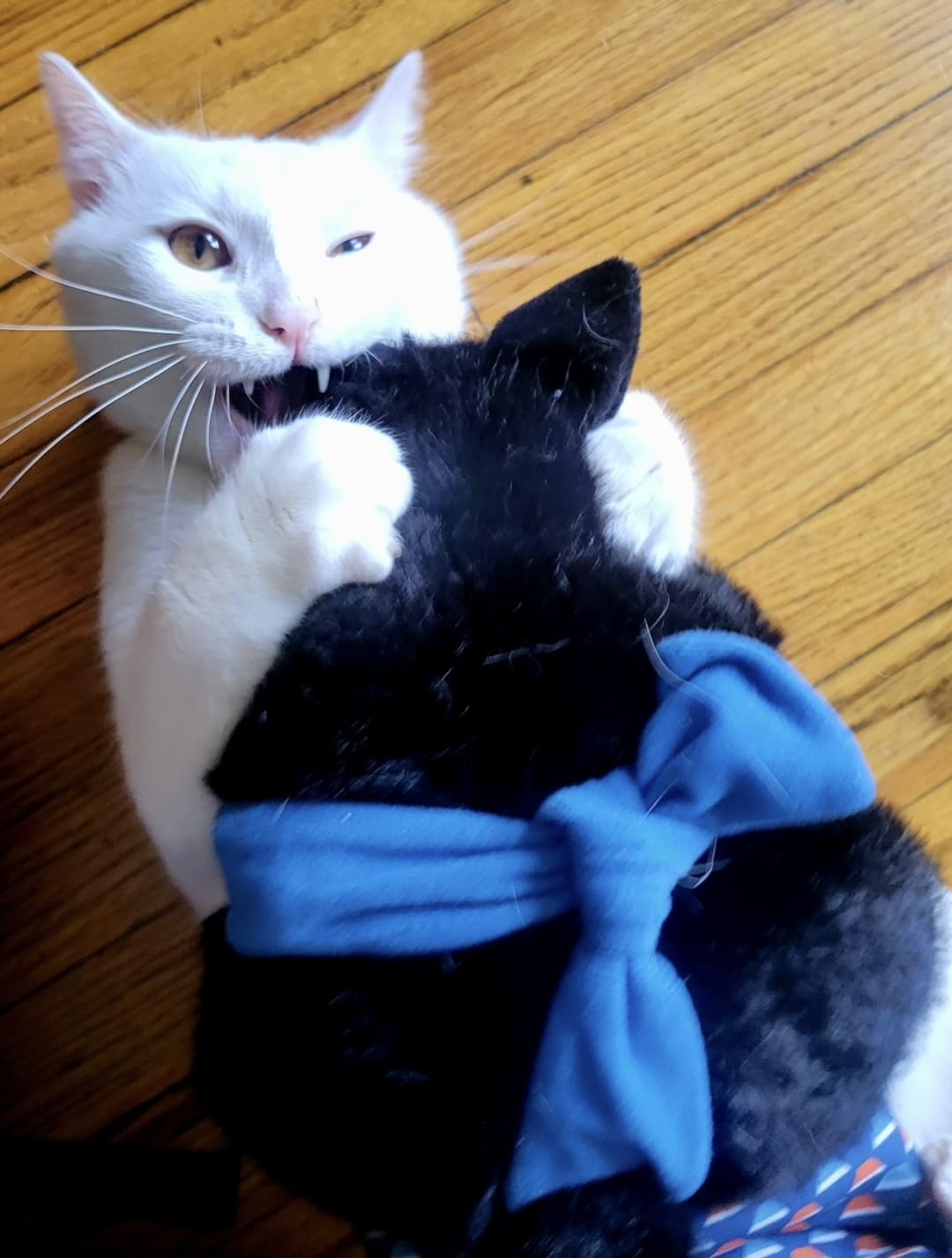 CATSUMO Cat Wrestling Glove Puppet – Interactive Hand Mitt with Protective Sleeve & Catnip