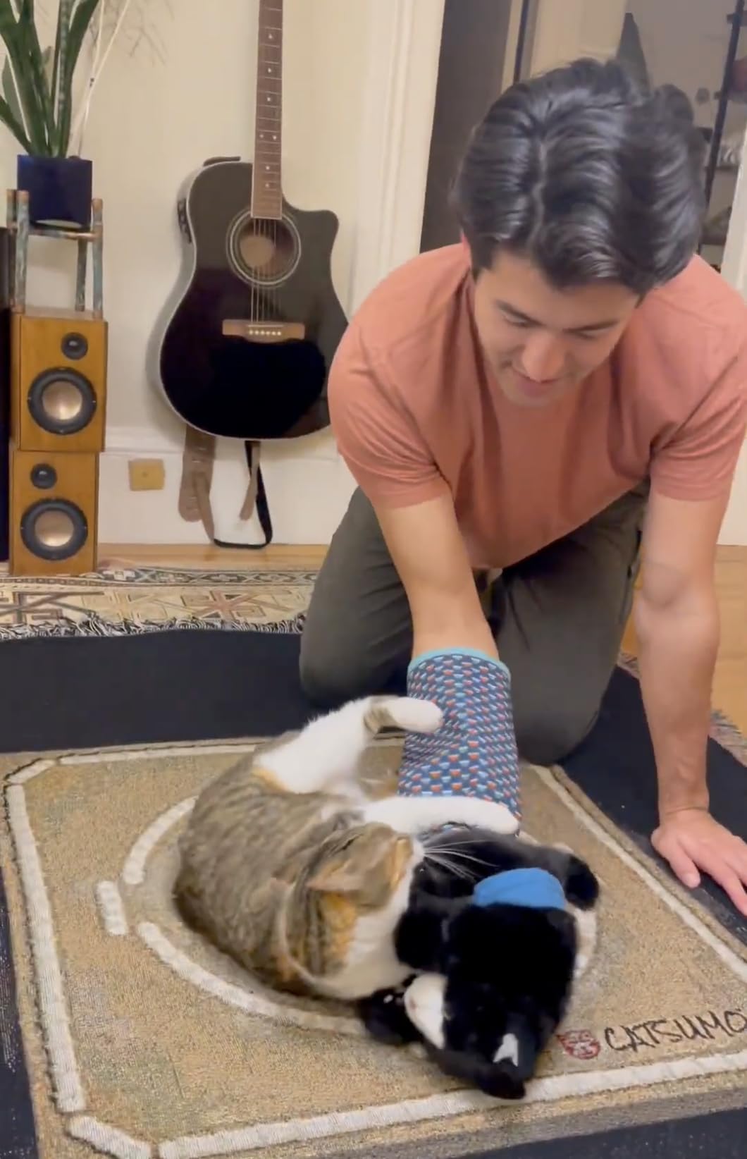 CATSUMO Cat Wrestling Glove Puppet – Interactive Hand Mitt with Protective Sleeve & Catnip