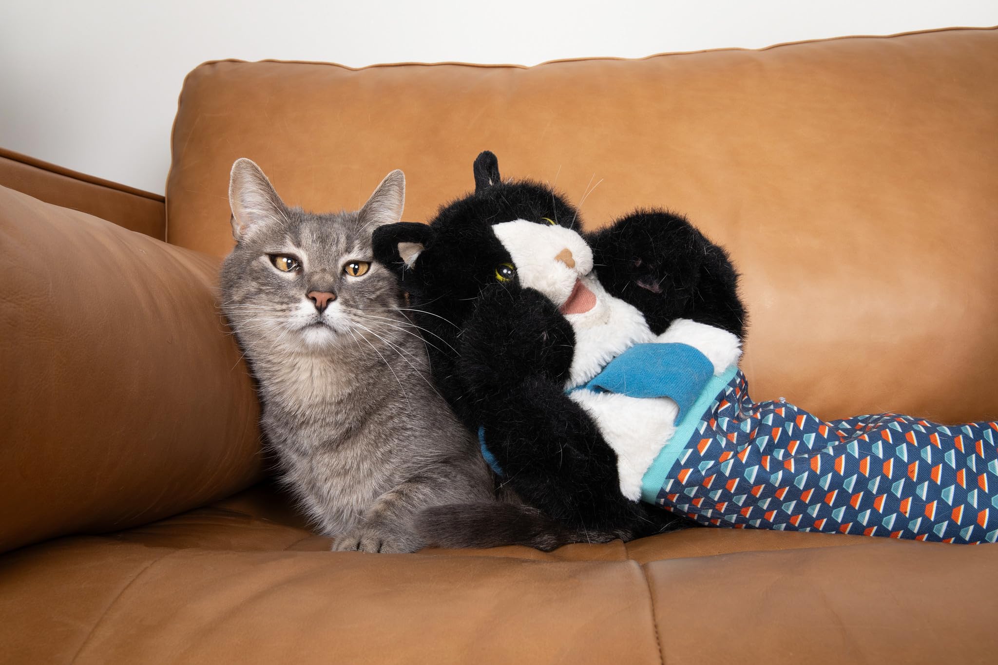 CATSUMO Cat Wrestling Glove Puppet – Interactive Hand Mitt with Protective Sleeve & Catnip