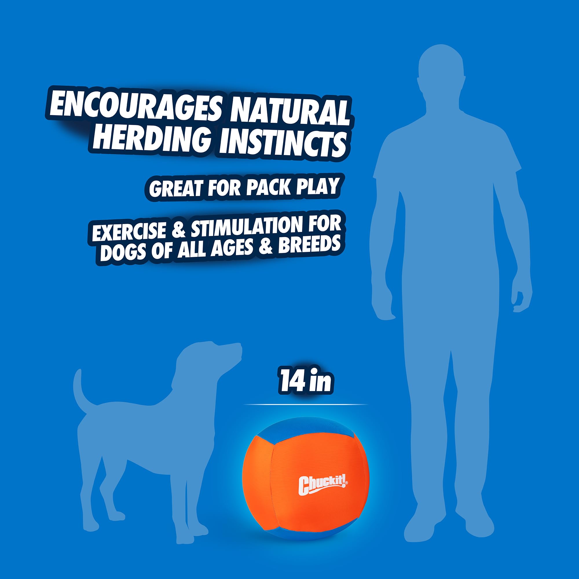 Chuckit! Big Air Fetch Ball (14 Inch) – Herding Instinct Dog Toy with Pump | All Breeds