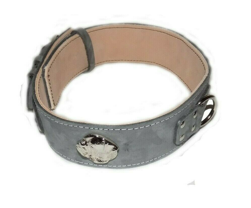2.5 inch Grey Dog Collar with American bulldog head motif