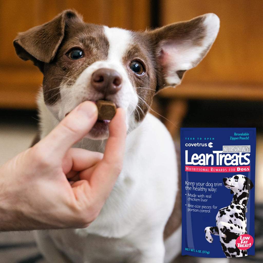 Covetrus Nutrisential Lean Treats for Dogs — Low-Fat, Bite-Size Soft Chicken Flavor, 12 Pack (4 oz)