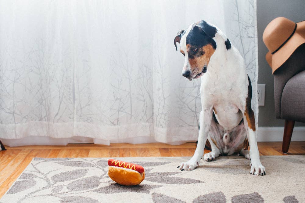 American Classic Hot Dog