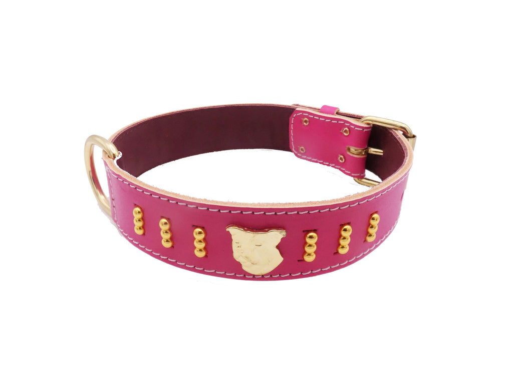 1.5" wide Staffy Leather Dog Collar with Gold Unique Decorative Design and Staffordshire Bull Terrier Badge