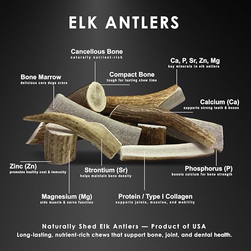 Deluxe Naturals Elk Antler Dog Chews | Medium Split, 4-Pack – USA-Sourced A-Grade Elk Antlers