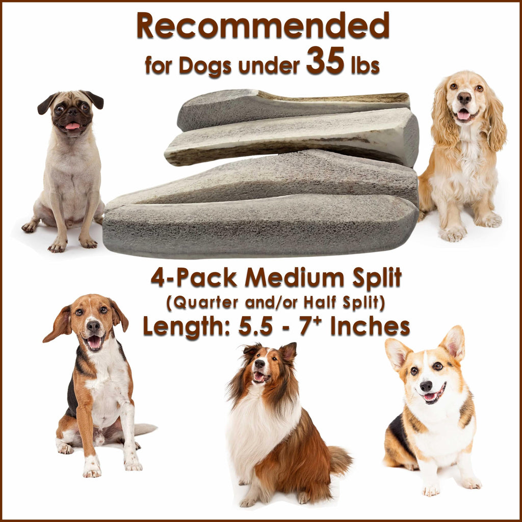 Deluxe Naturals Elk Antler Dog Chews | Medium Split, 4-Pack – USA-Sourced A-Grade Elk Antlers