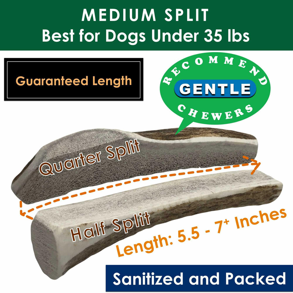 Deluxe Naturals Elk Antler Dog Chews | Medium Split, 4-Pack – USA-Sourced A-Grade Elk Antlers