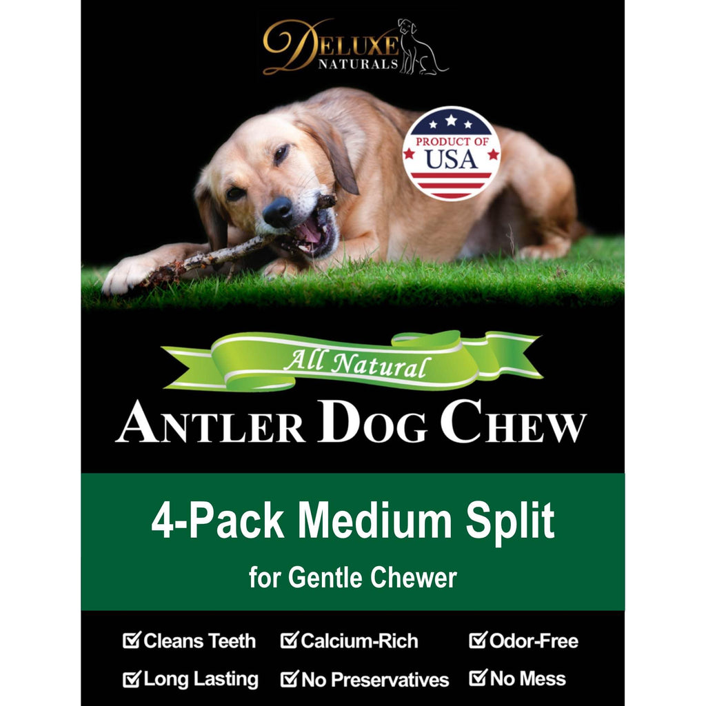 Deluxe Naturals Elk Antler Dog Chews | Medium Split, 4-Pack – USA-Sourced A-Grade Elk Antlers