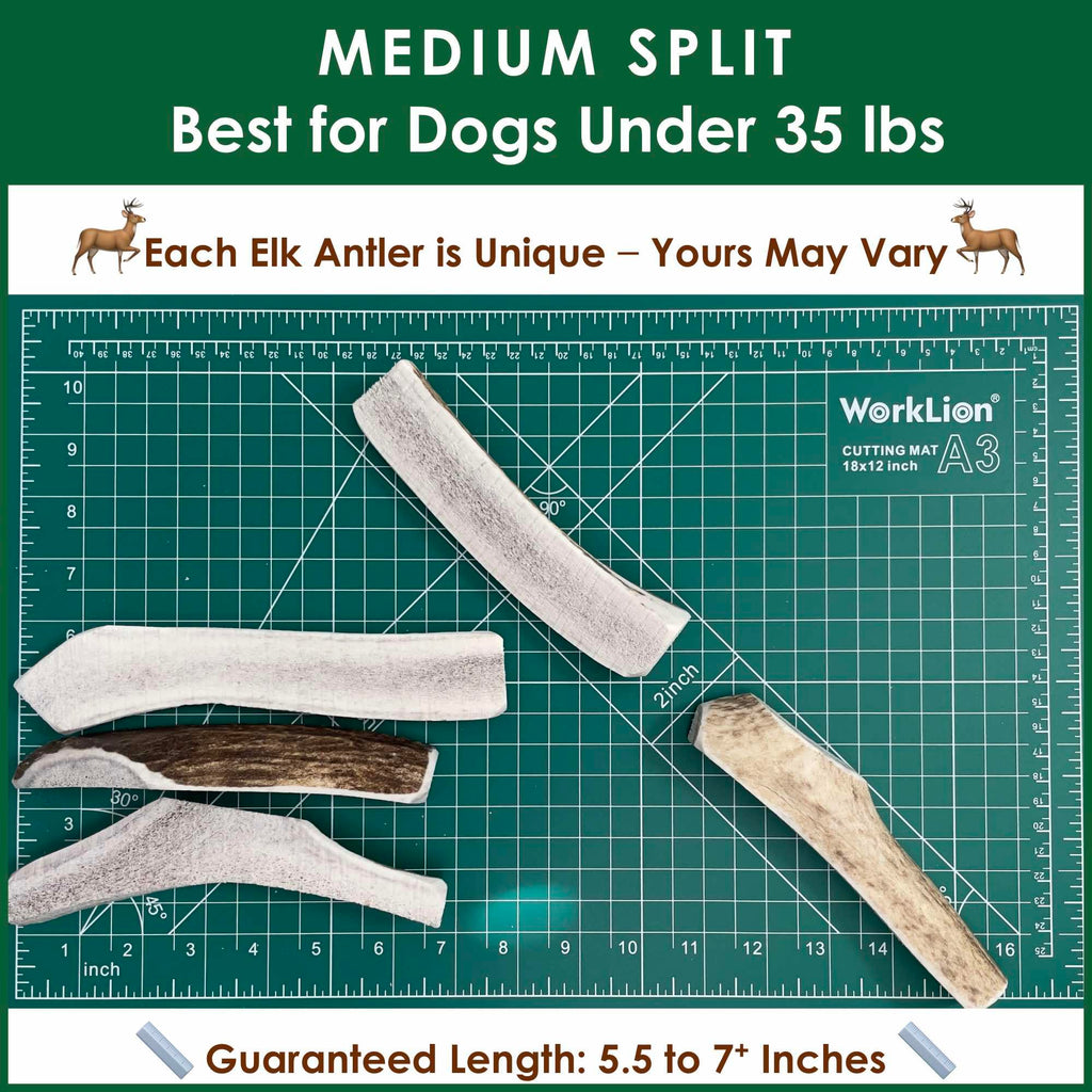 Deluxe Naturals Elk Antler Dog Chews | Medium Split, 4-Pack – USA-Sourced A-Grade Elk Antlers