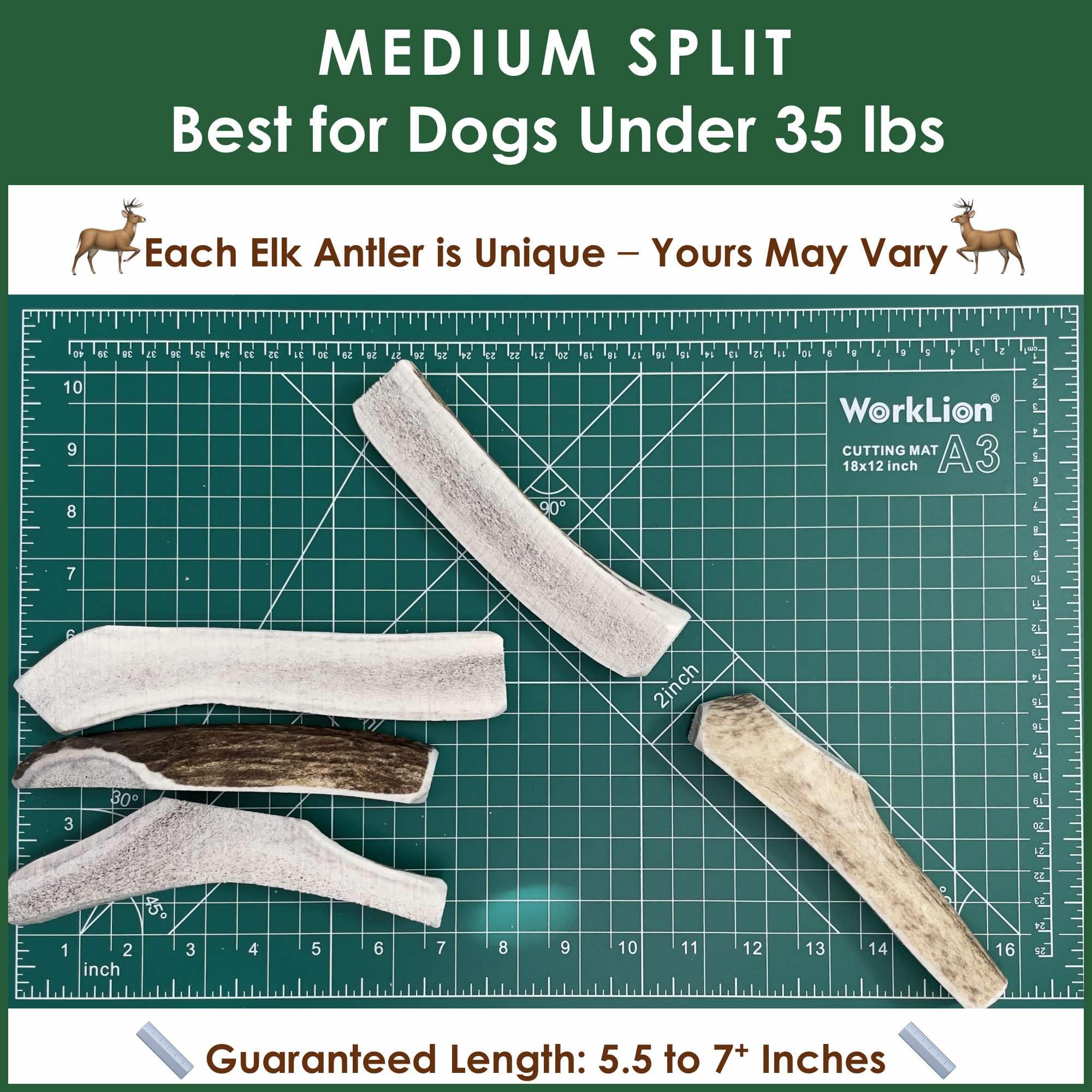 Deluxe Naturals Elk Antler Dog Chews | Medium Split, 4-Pack – USA-Sourced A-Grade Elk Antlers