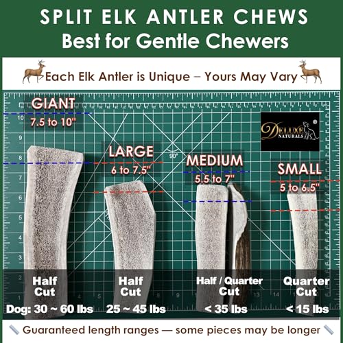 Deluxe Naturals Elk Antler Dog Chews | Medium Split, 4-Pack – USA-Sourced A-Grade Elk Antlers