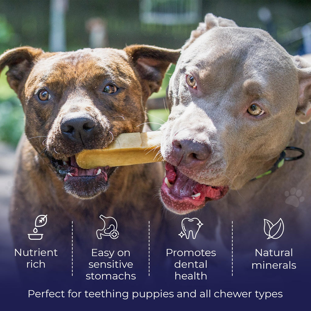 Devil Dog Pet Co. Himalayan Yak Cheese Dog Chews – Large 12 Pack, 100% Natural & Lactose-Free
