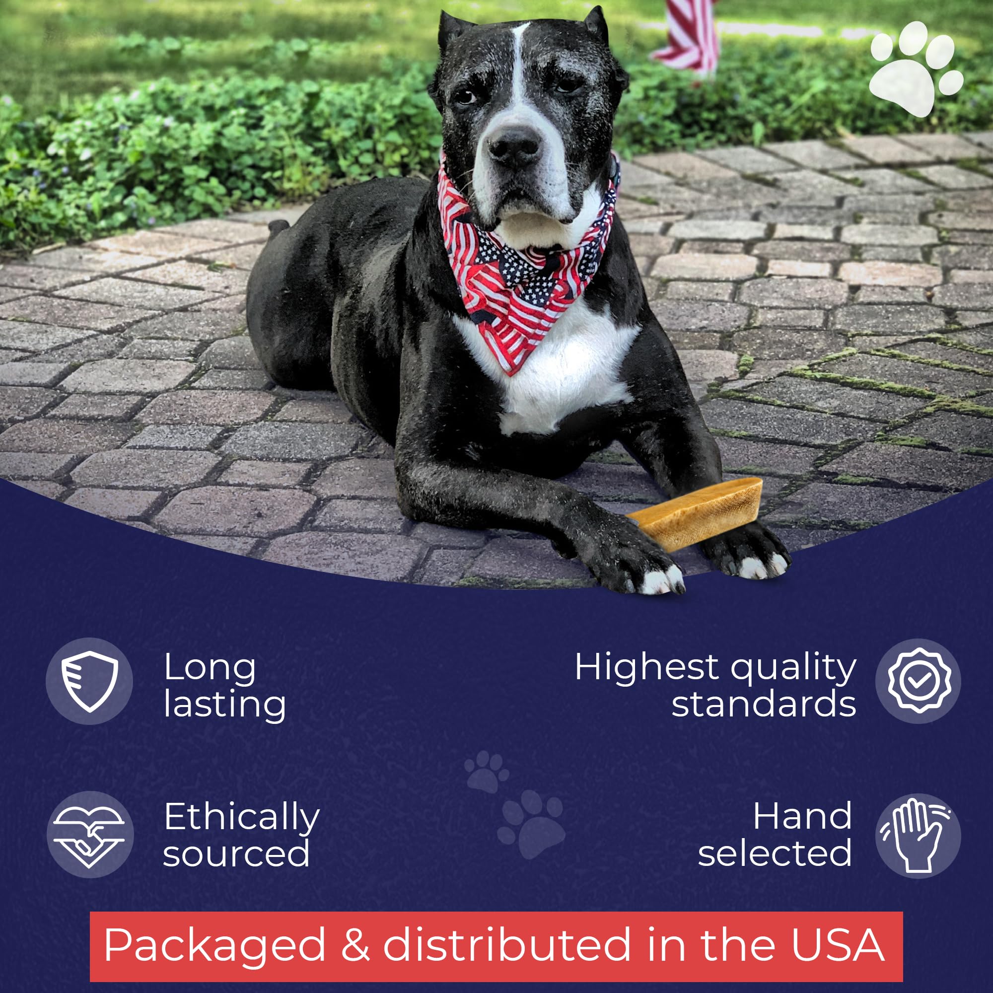 Devil Dog Pet Co. Himalayan Yak Cheese Dog Chews – Large 12 Pack, 100% Natural & Lactose-Free
