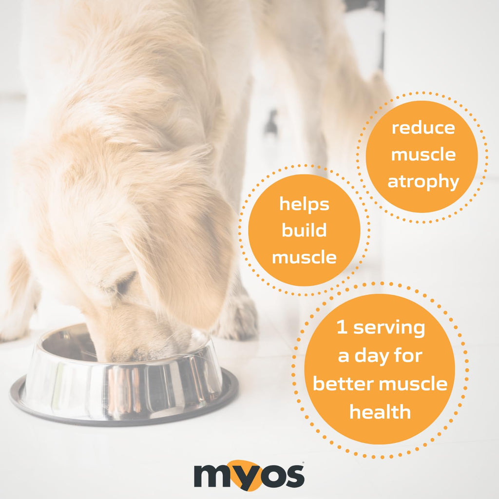 MYOS Canine Muscle Formula – All-Natural Muscle Support for Aging Dogs