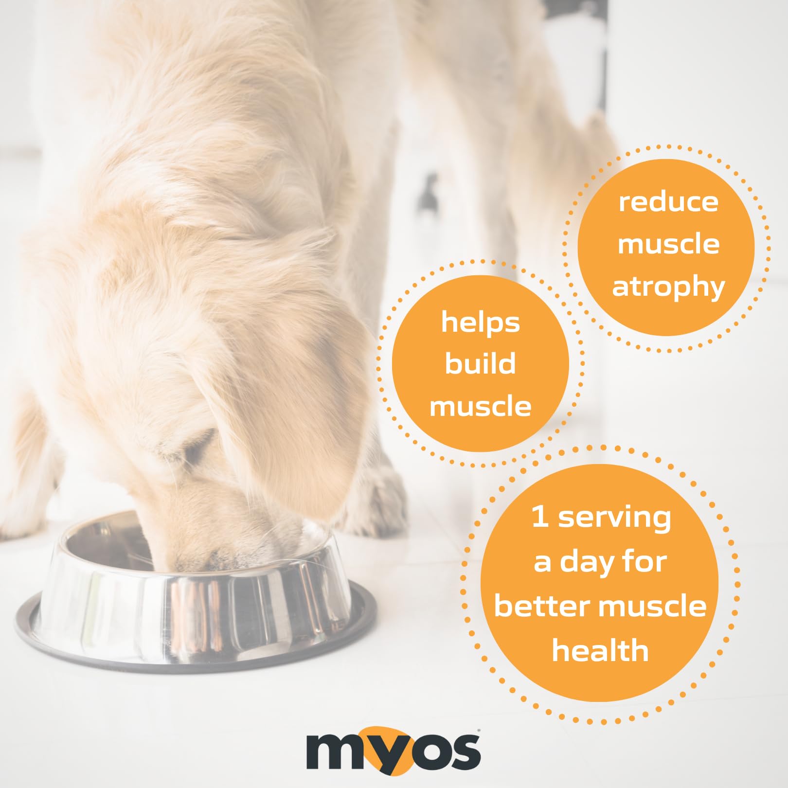 MYOS Canine Muscle Formula – All-Natural Muscle Support for Aging Dogs