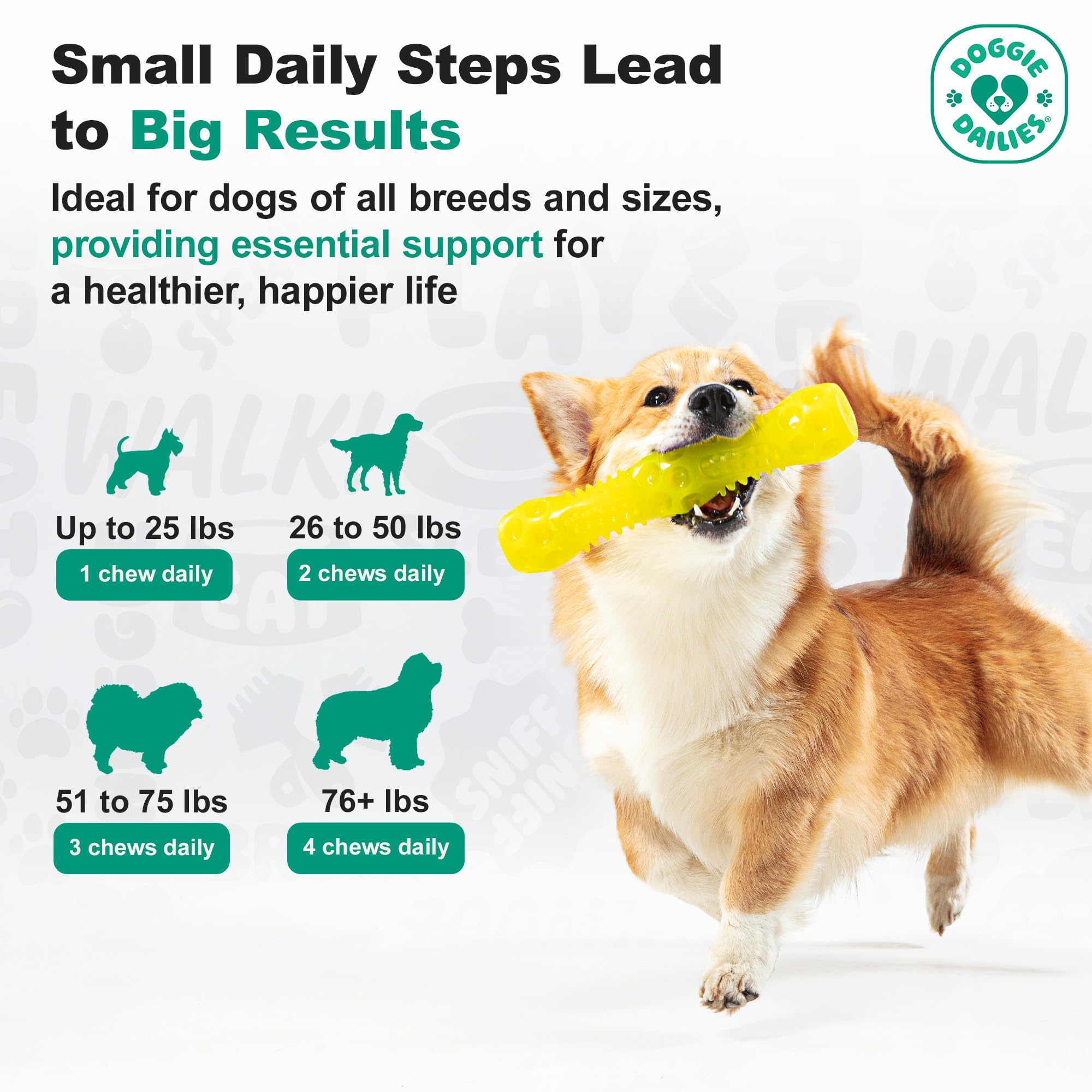 Doggie Dailies Senior Essentials Multivitamin for Dogs | Bacon Flavor Soft Chews | 120 Count