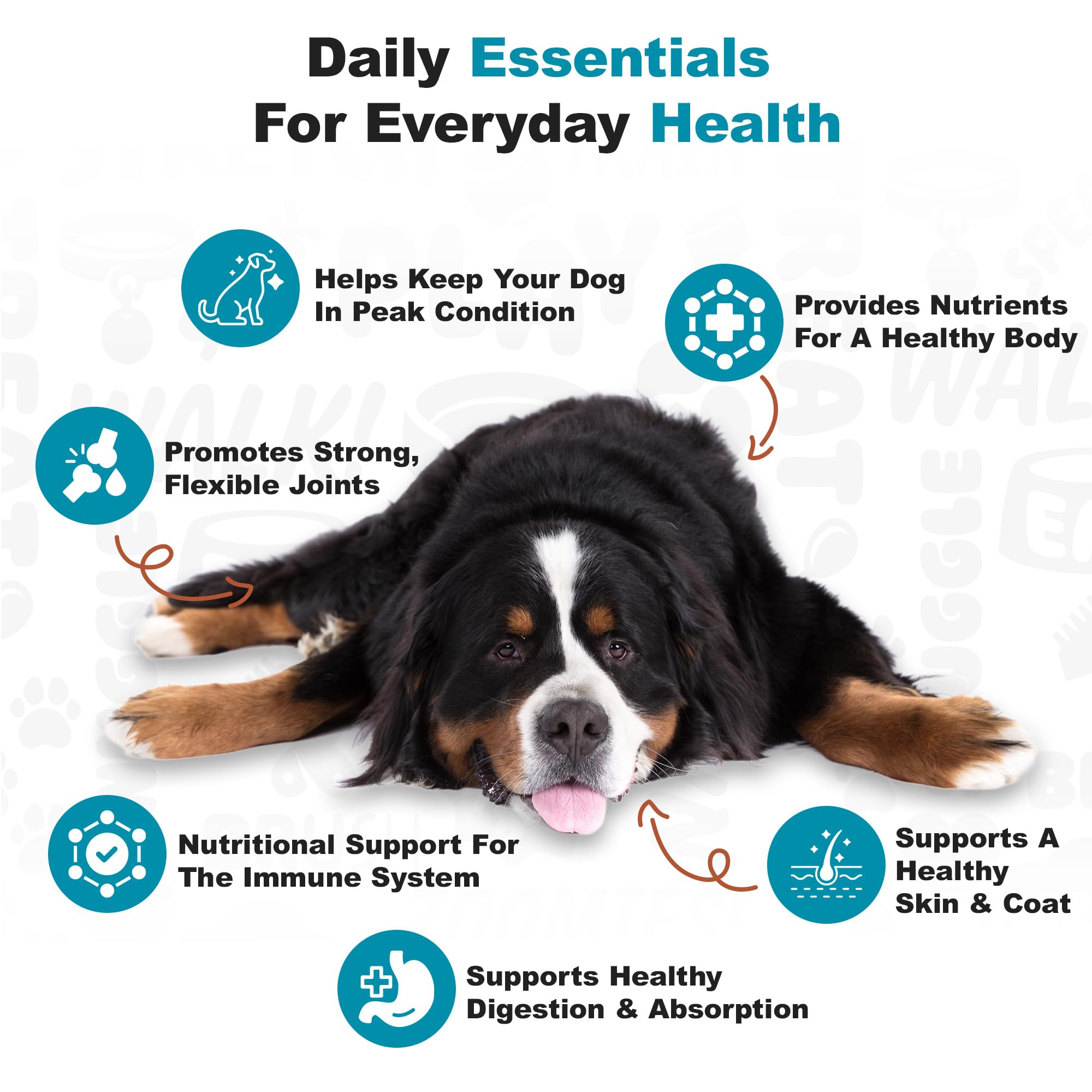 Doggie Dailies Senior Essentials Multivitamin for Dogs | Bacon Flavor Soft Chews | 120 Count