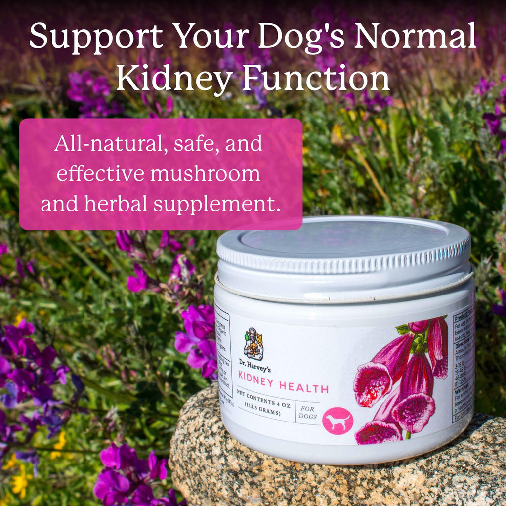 Dr. Harvey's Kidney Health Kidney Support Supplement for Dogs (4 oz)