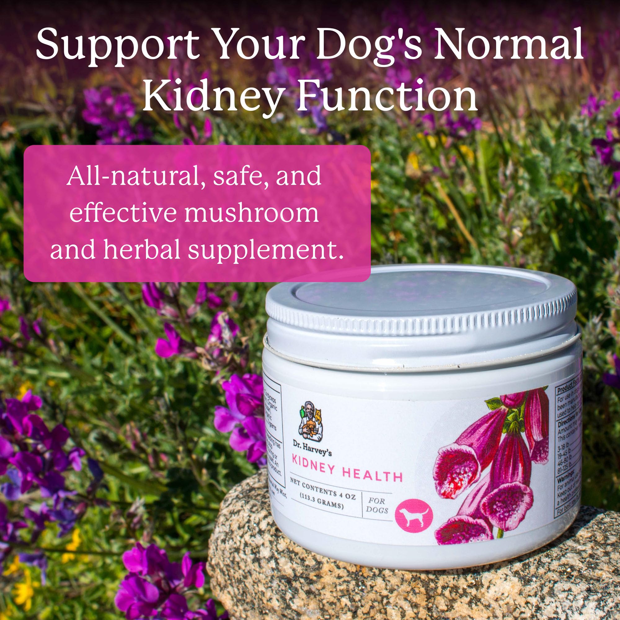 Dr. Harvey's Kidney Health Kidney Support Supplement for Dogs (4 oz)