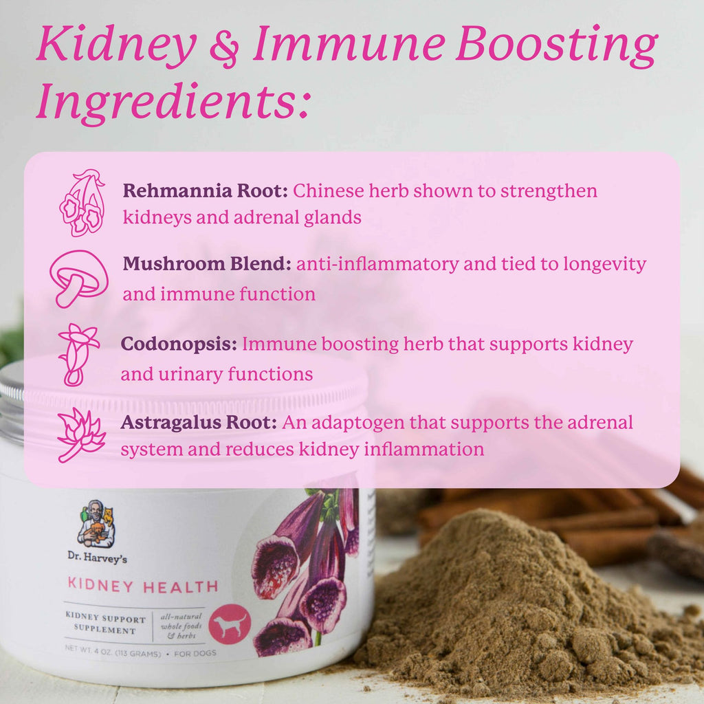 Dr. Harvey's Kidney Health Kidney Support Supplement for Dogs (4 oz)