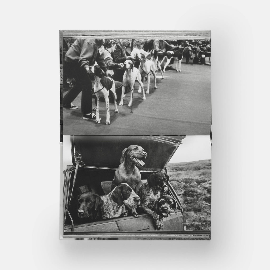 DogsDogs by Elliott Erwitt