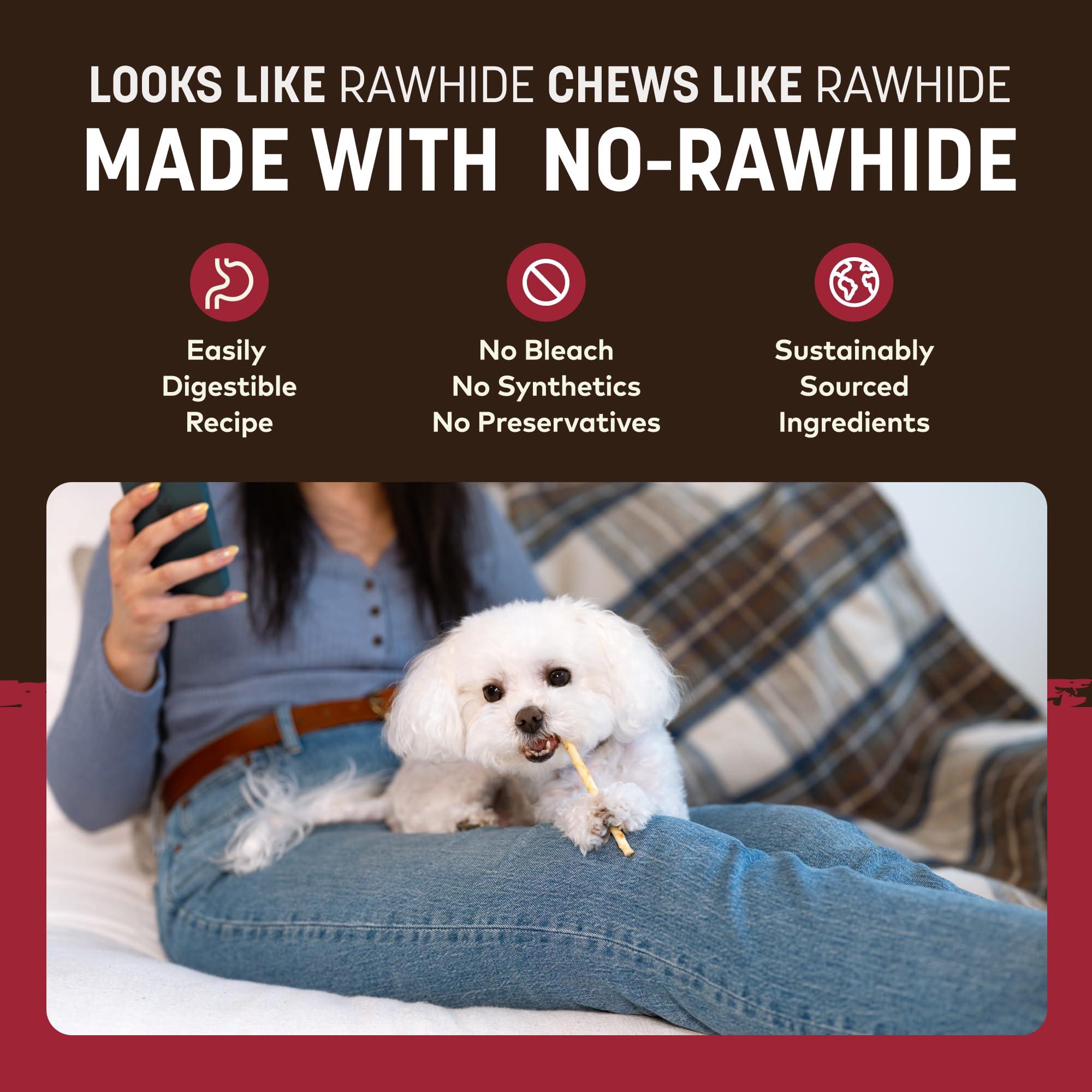 Earth Animal No Hide Stix – Long Lasting Rawhide Free Small Dog Chews Sticks Beef 40 Count Extra Value Pack
