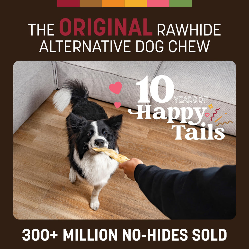 Earth Animal No Hide Strips – Natural Rawhide-Free Beef Chews, 16 Count