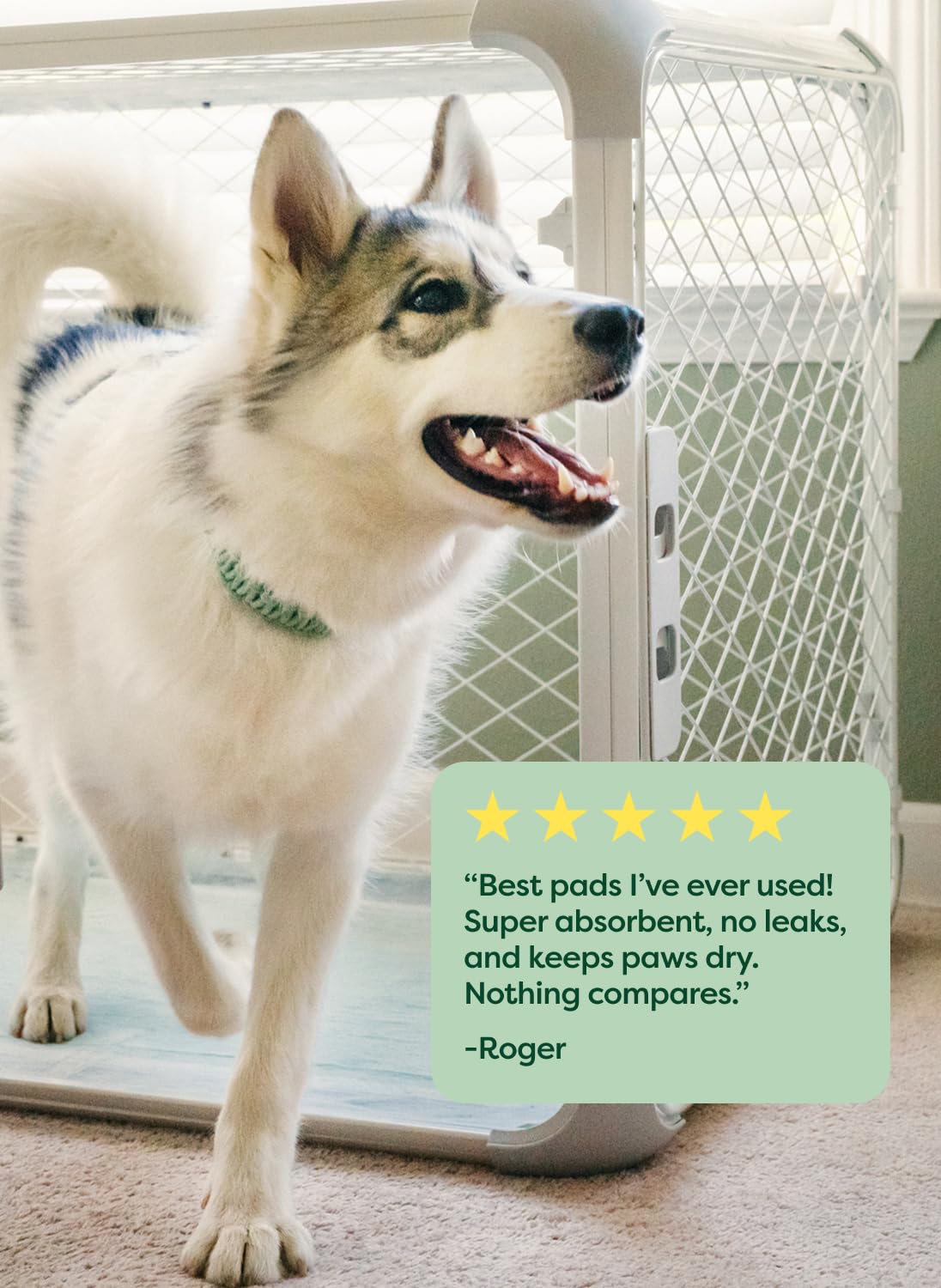 Earth Rated Max Absorbency Puppy Pads – 40 Count, XL 28”x34”, Unscented, Leak-Proof, 2x Faster & 2x More Absorption