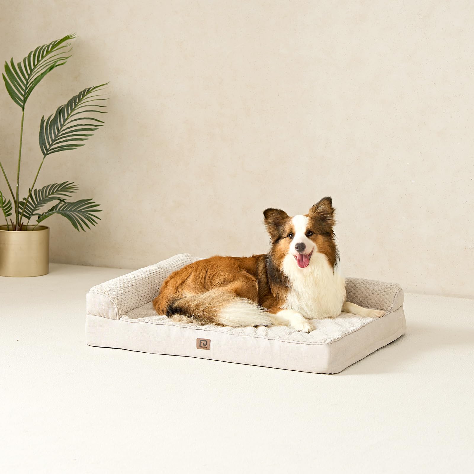EHEYCIGA Memory Foam Dog Bed – Orthopedic, Waterproof, Removable Cover, 30x20x6 in Beige