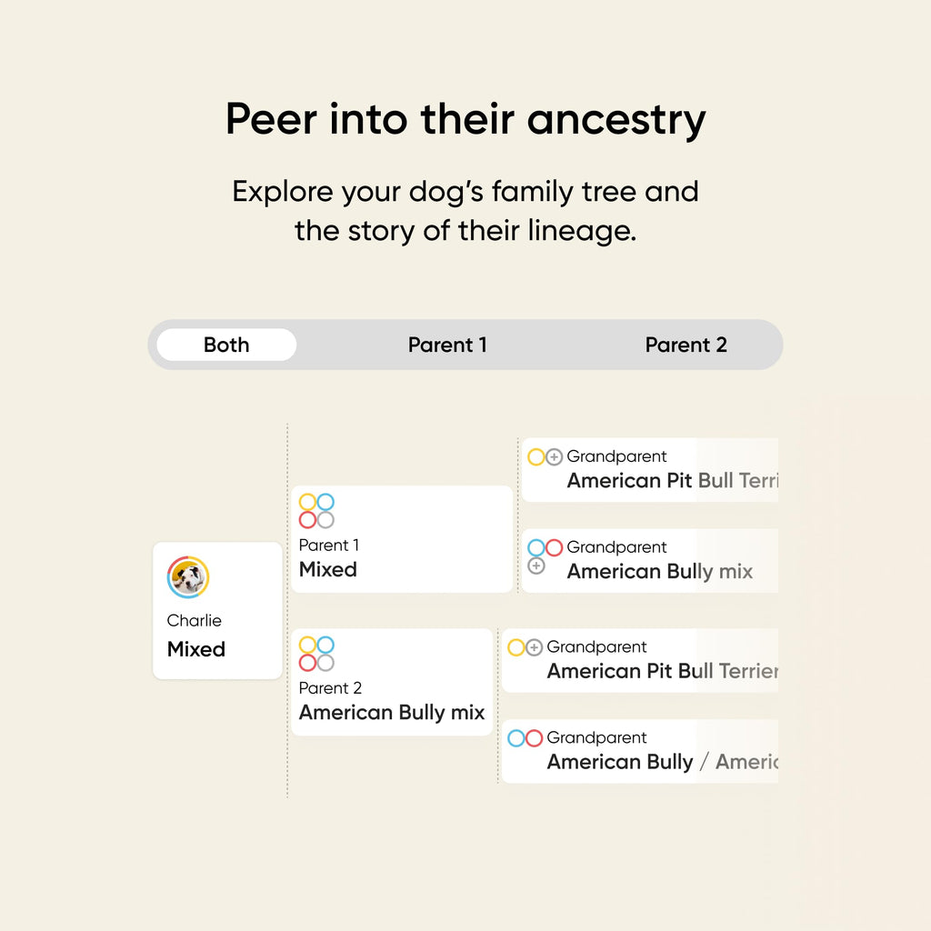 Embark Breed & Health Kit - Dog DNA Testing for Breed, Health & Ancestry