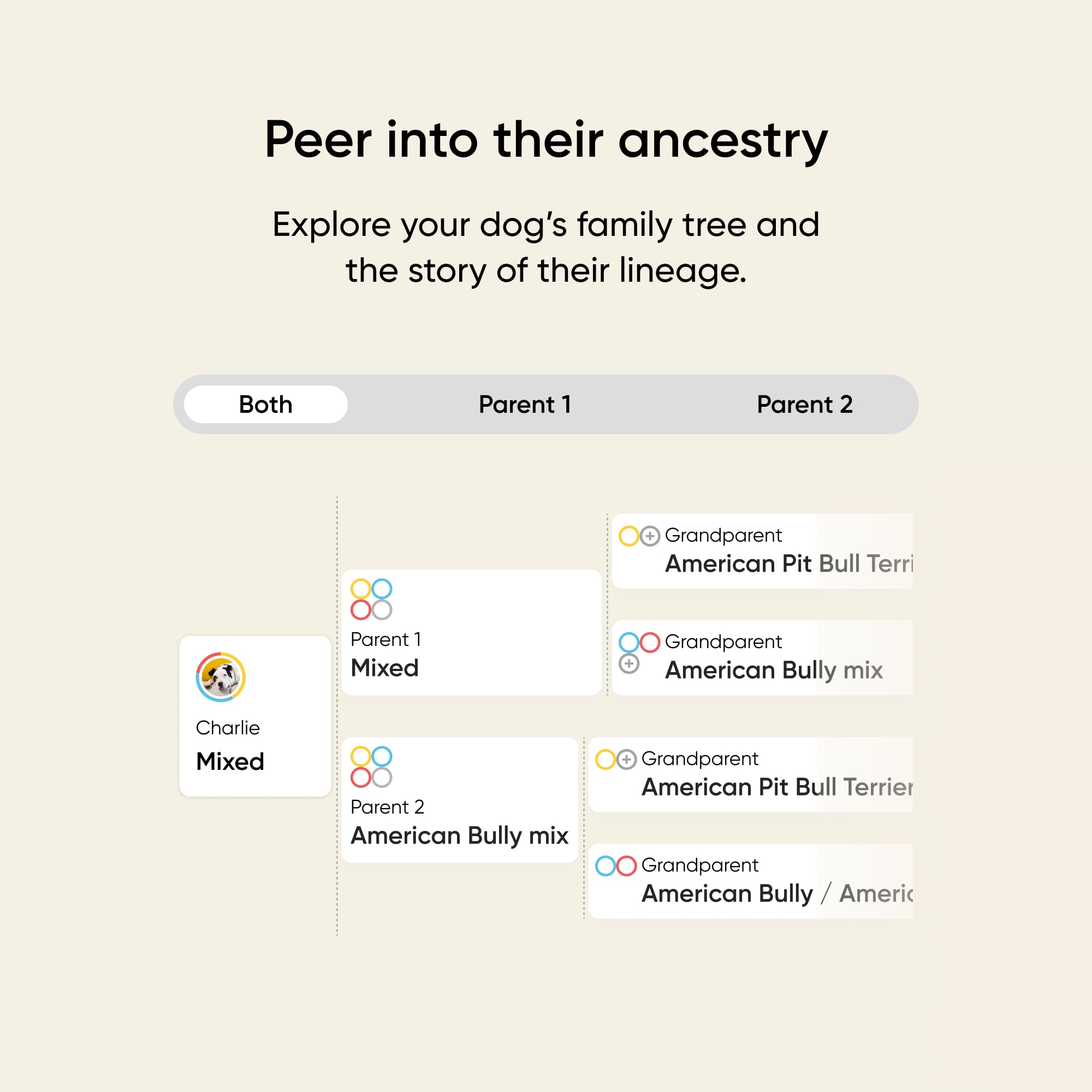 Embark Breed & Health Kit - Dog DNA Testing for Breed, Health & Ancestry