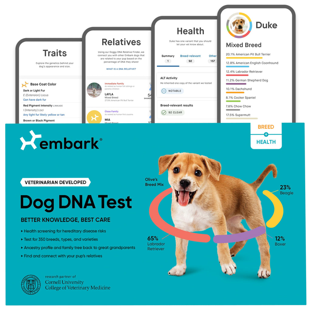 Embark Breed & Health Kit - Dog DNA Testing for Breed, Health & Ancestry