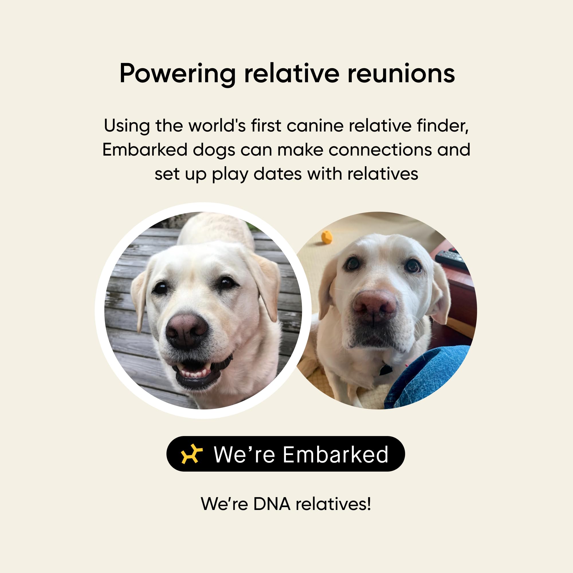 Embark Breed & Health Kit - Dog DNA Testing for Breed, Health & Ancestry