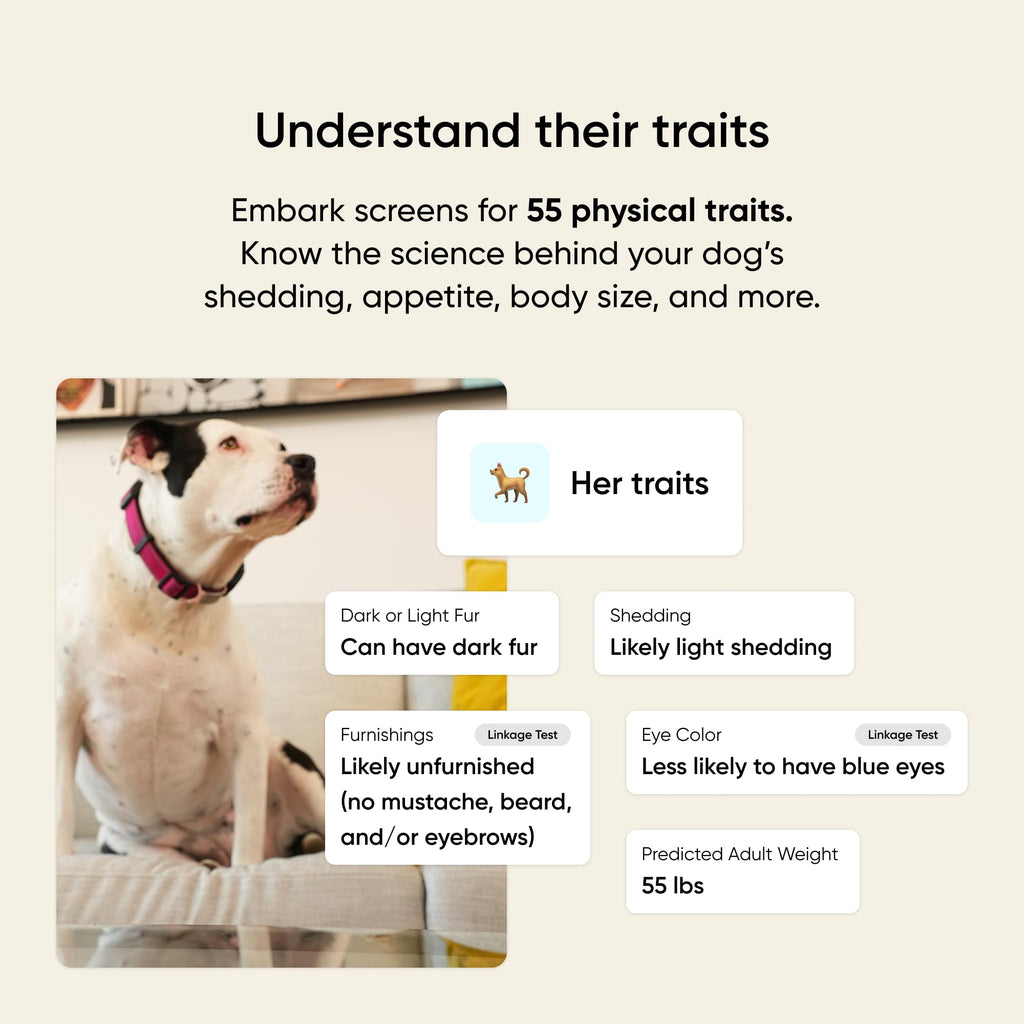 Embark Breed & Health Kit - Dog DNA Testing for Breed, Health & Ancestry
