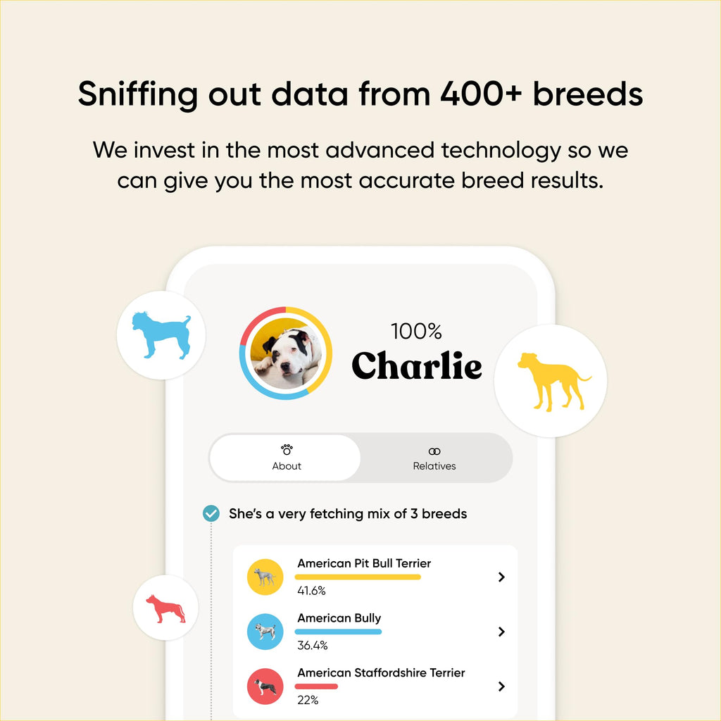 Embark Breed & Health Kit - Dog DNA Testing for Breed, Health & Ancestry