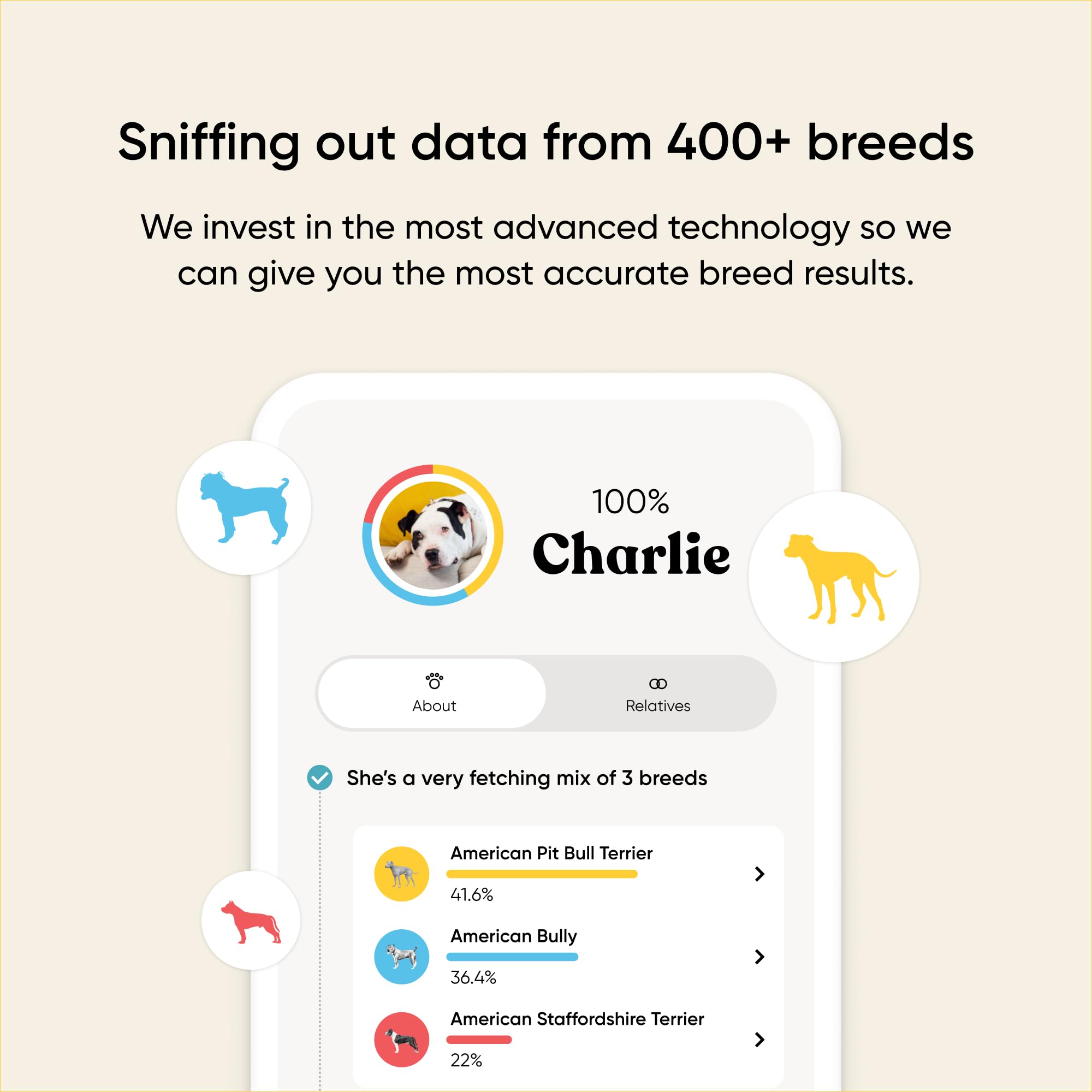 Embark Breed & Health Kit - Dog DNA Testing for Breed, Health & Ancestry