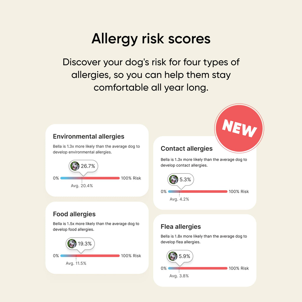 Embark Breed & Health Kit - Dog DNA Testing for Breed, Health & Ancestry