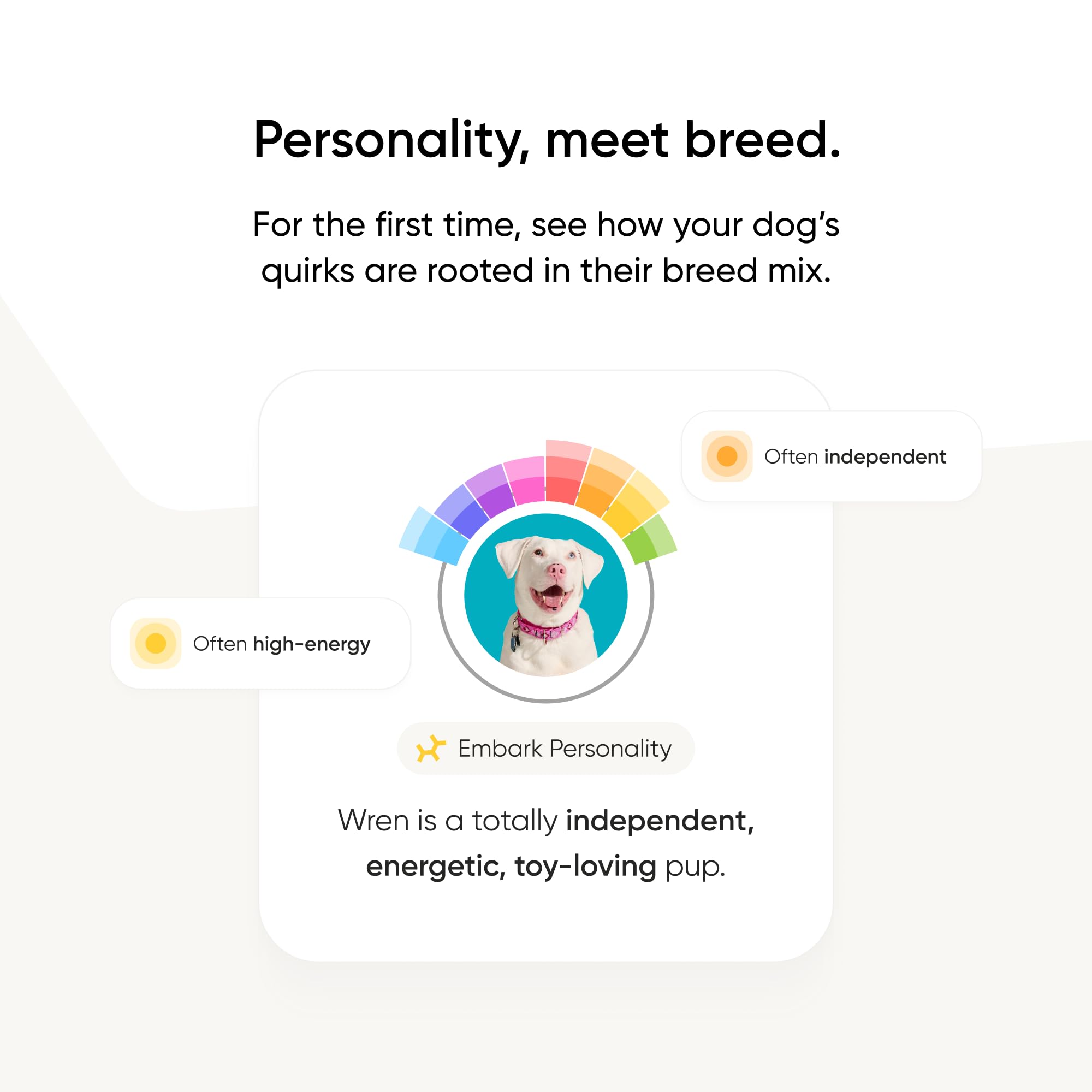 Embark Breed & Health Kit - Dog DNA Testing for Breed, Health & Ancestry