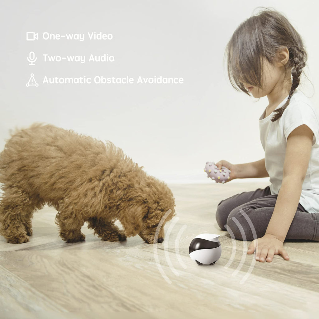 Enabot EBO SE FamilyBot: 1080P Indoor Pet Camera Robot with Auto-Recharge