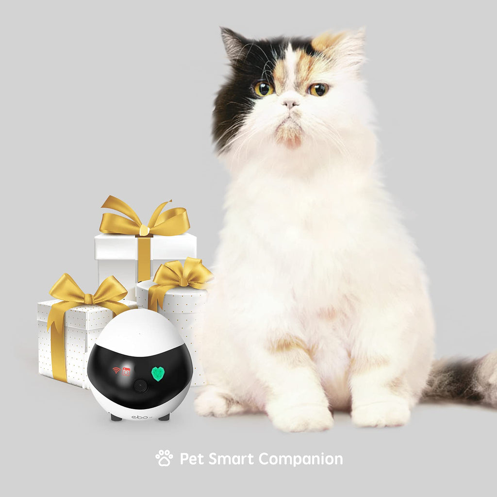 Enabot EBO SE FamilyBot: 1080P Indoor Pet Camera Robot with Auto-Recharge