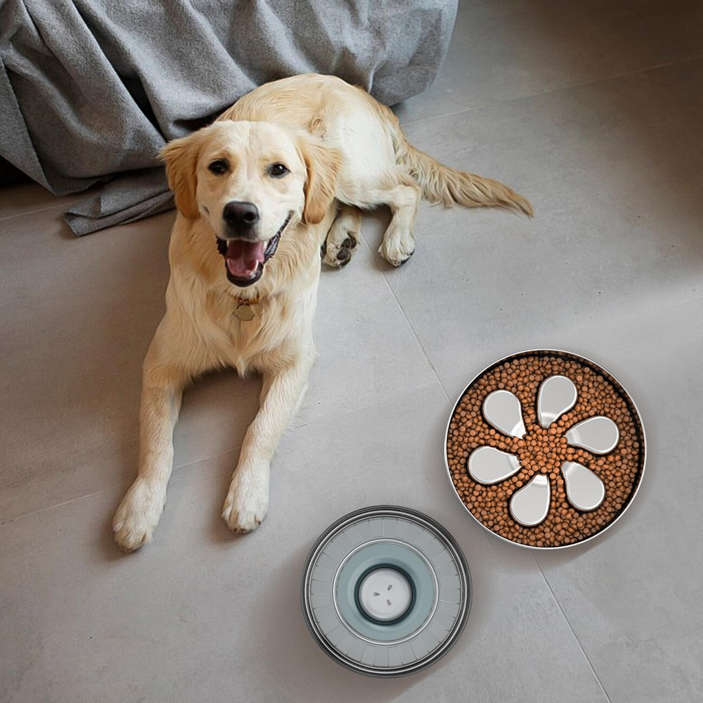 Feedoo Slow Feeder Dog Bowl — 3 Cups for Large Breeds | Stainless Steel, Non-Slip, Dishwasher Safe (2 Pack)