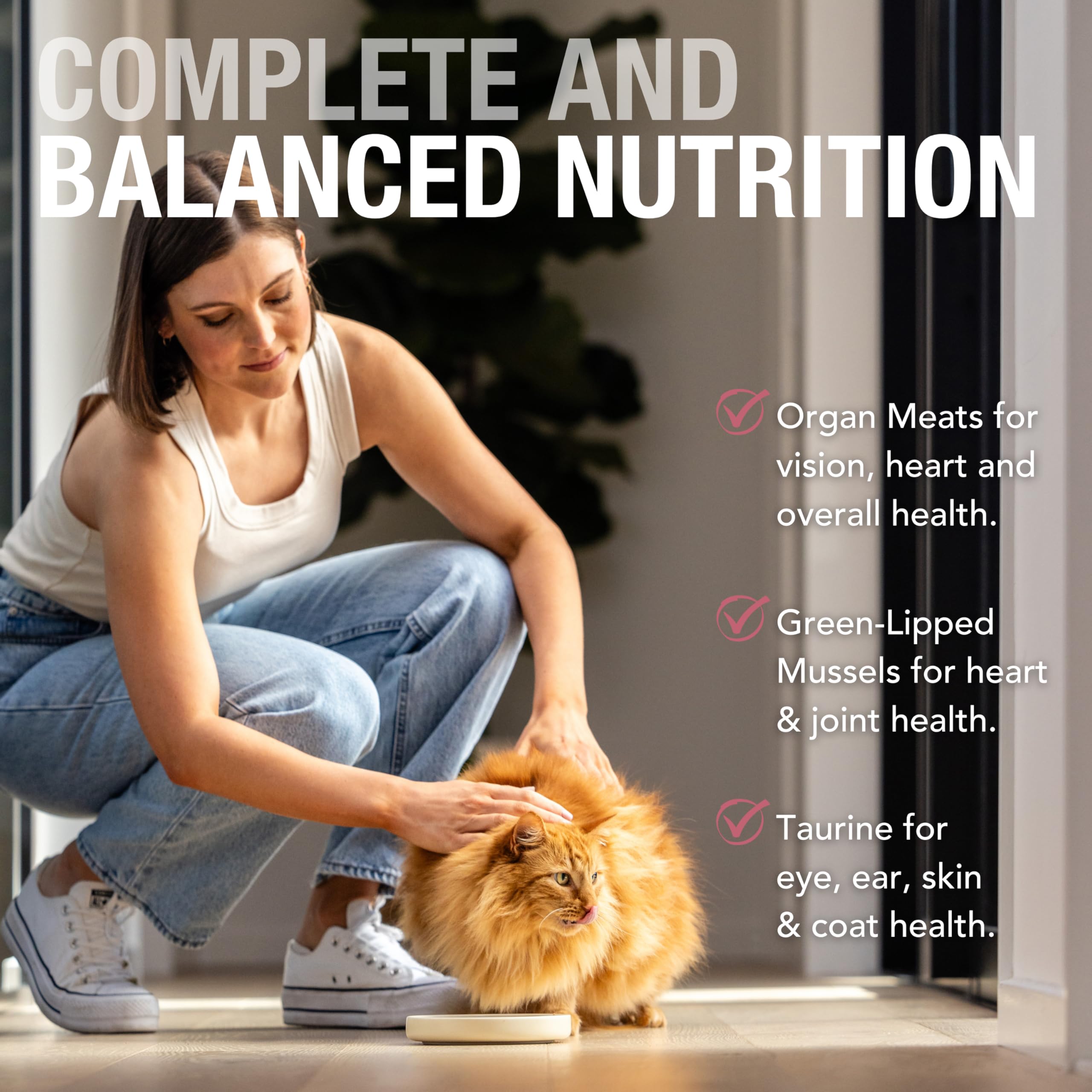 Feline Natural New Zealand Canned Wet Cat Food – Chicken & Venison Feast, High-Meat, Grain Free, 6 oz, Pack of 12